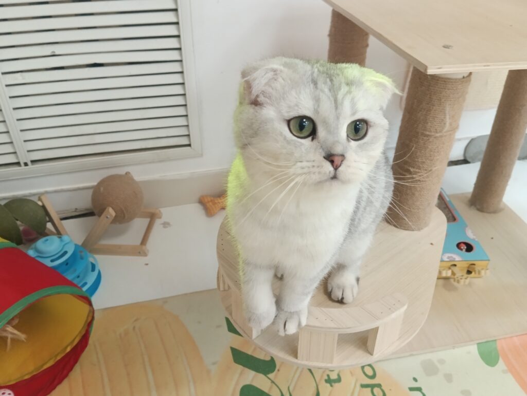    Фото: В курсе.ру Ульяна Бажанова