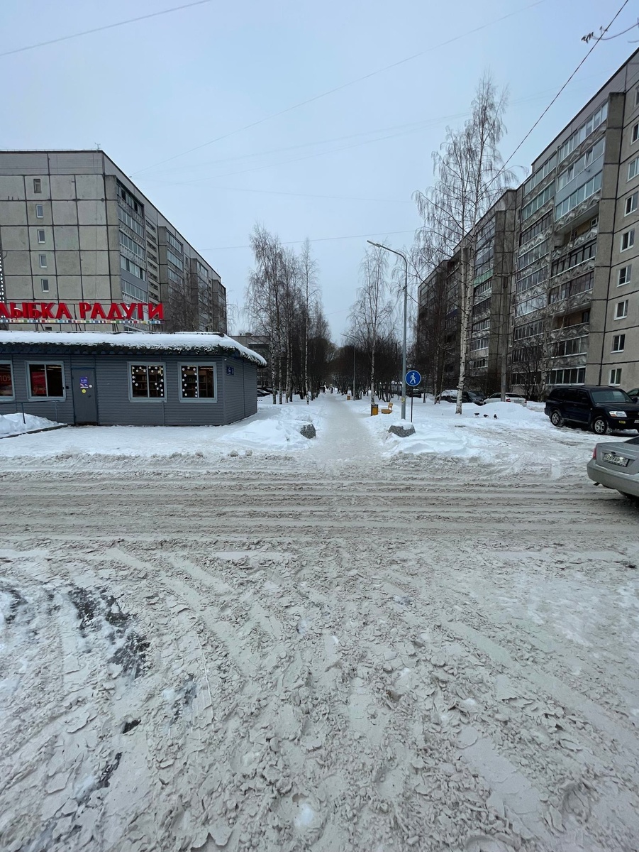 Фото: Госавтоинспекция Петрозаводска📷
