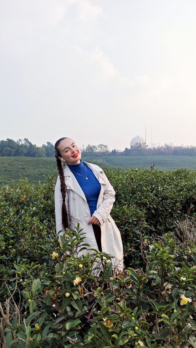 Чайная плантация на горе Фаншань, Нанкин