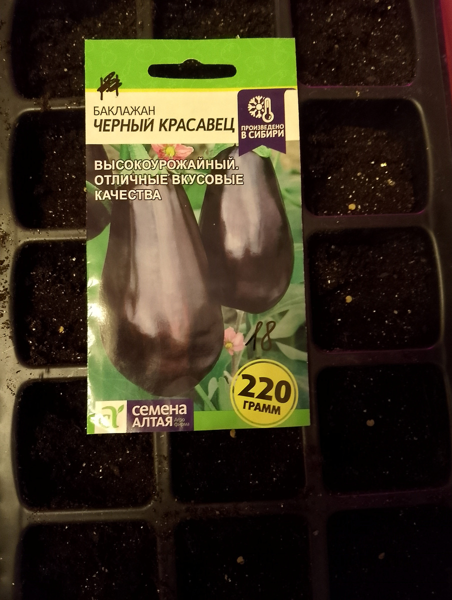 Баклажан Черный красавец.