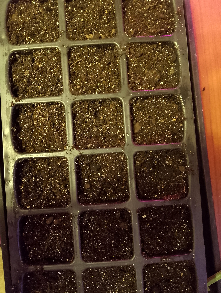 Свободная тара