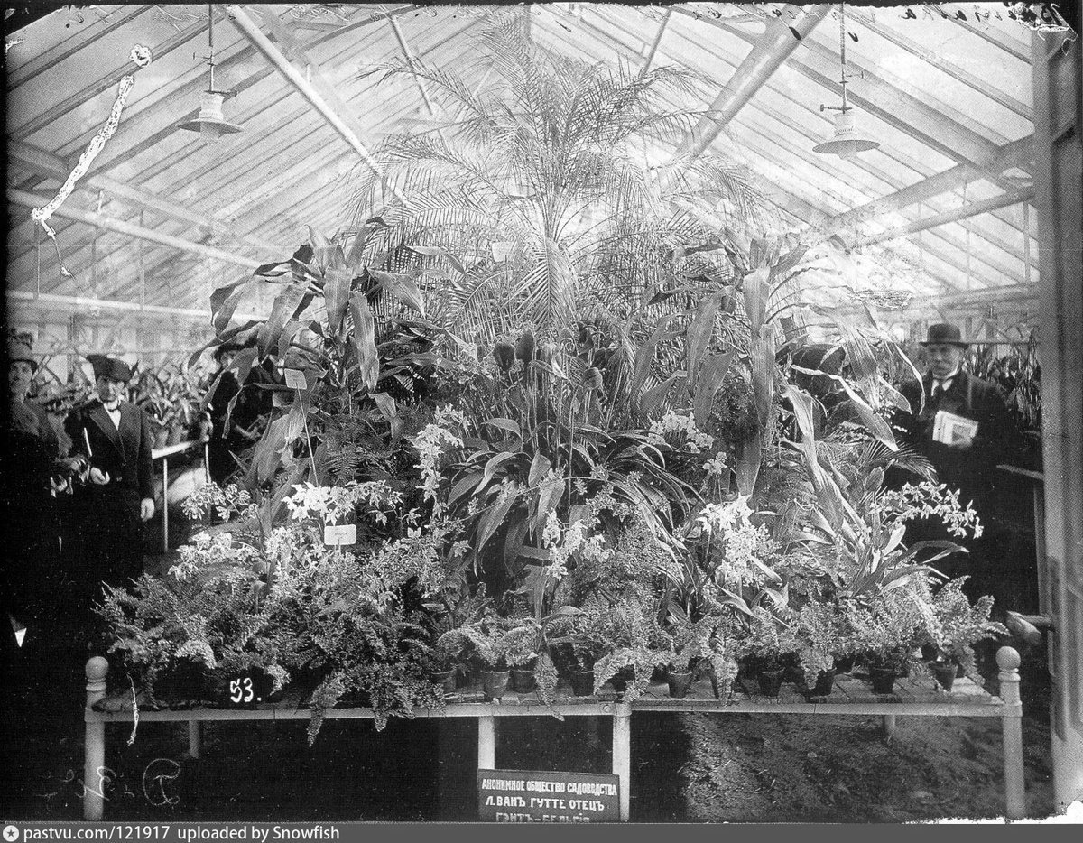 Фото взято из открытых источников