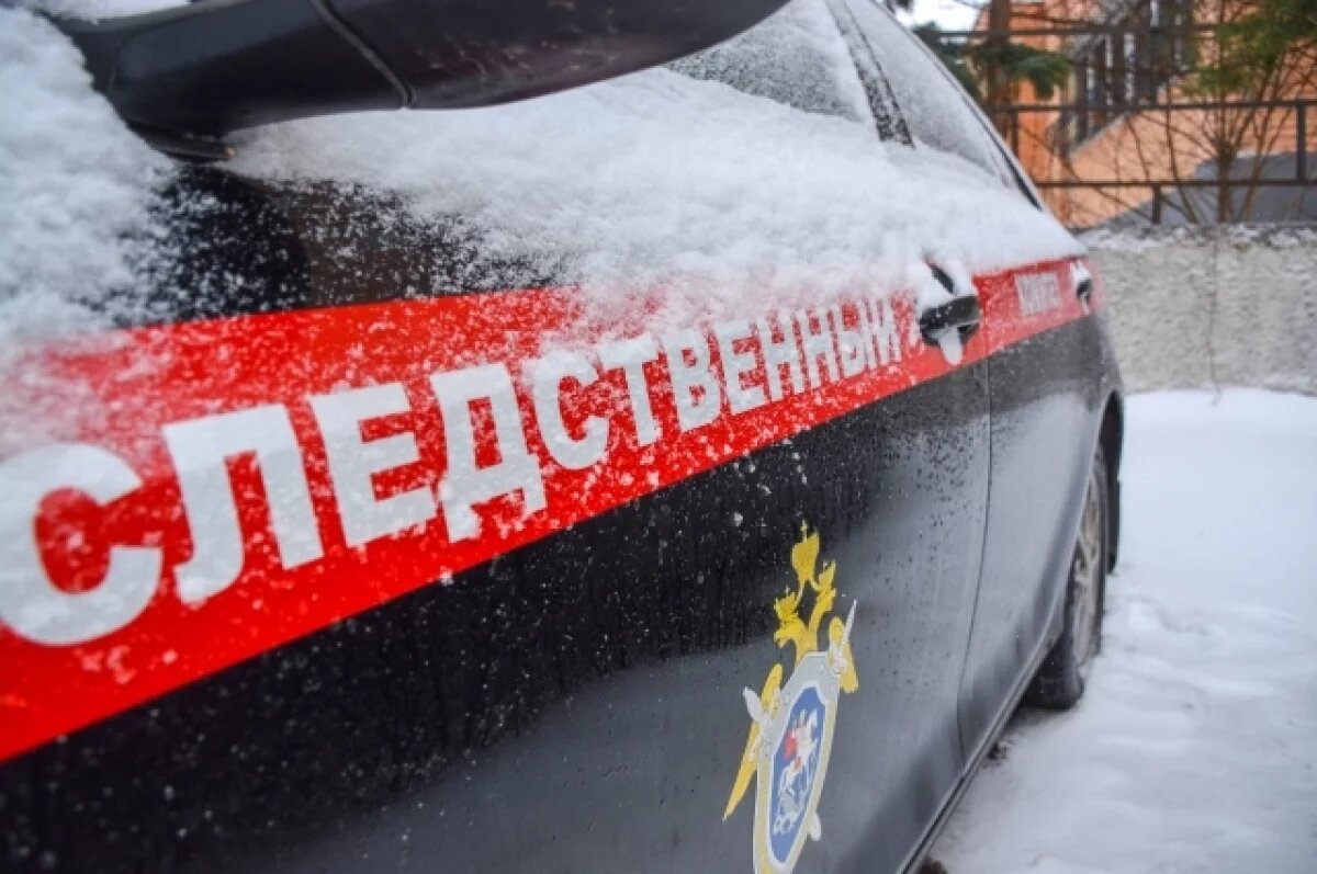    Бастрыкин заинтересовался делом о ДТП с участием ребёнка в Бурятии