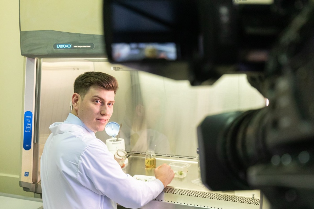    «Золотой фонд морошки в Югре»