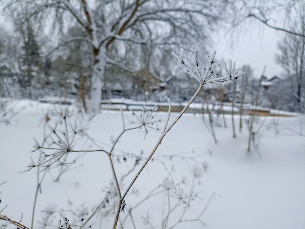 Бело-серые пейзажи