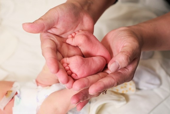    Сергей Петров/NEWS.ru