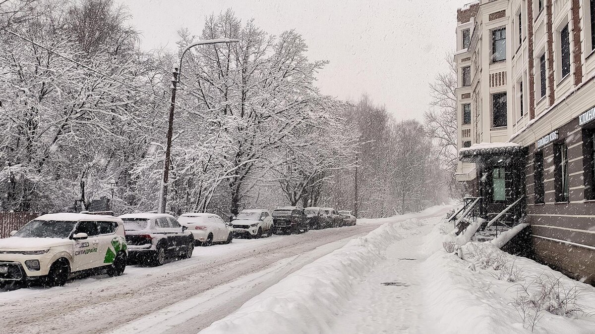    Фото: Maksim Konstantinov/globallookpress.com