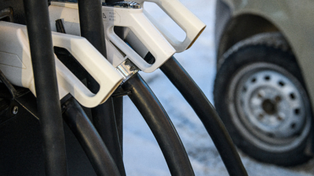    Фото: © Ilya Moskovets/Globallookpress