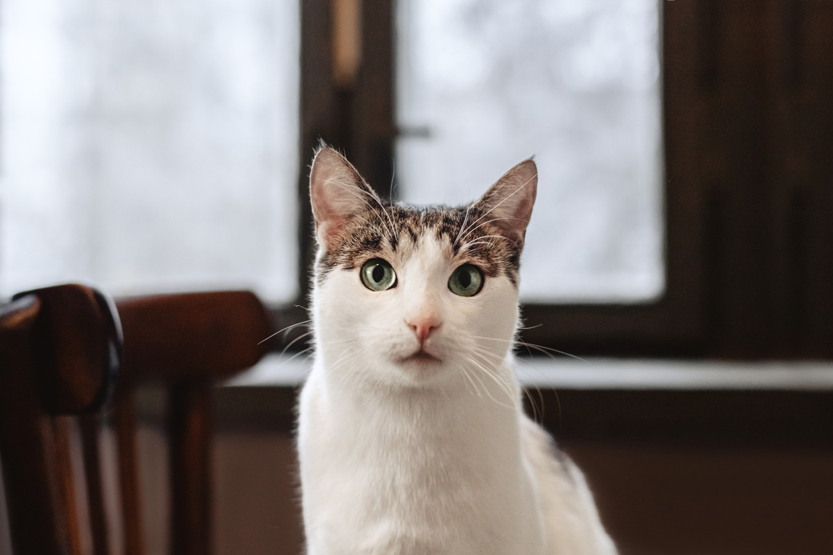  И снова здравствуйте!