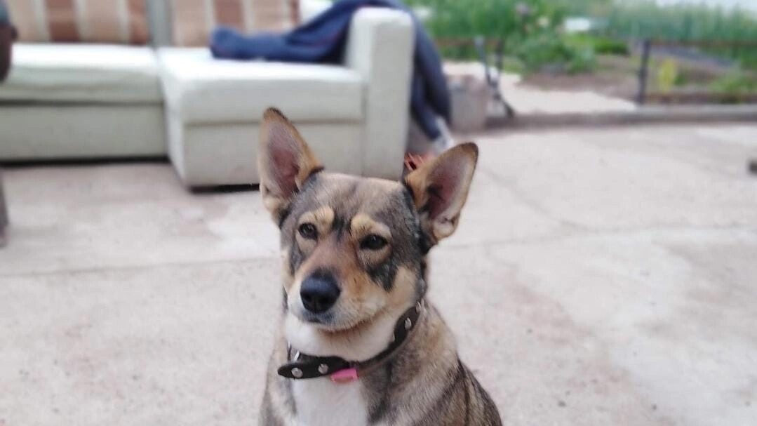    Ева. Фото: соцсети