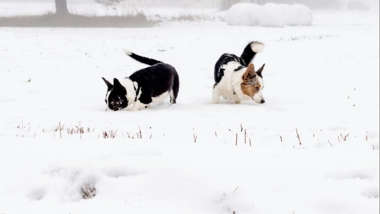 Источник: Unsplash