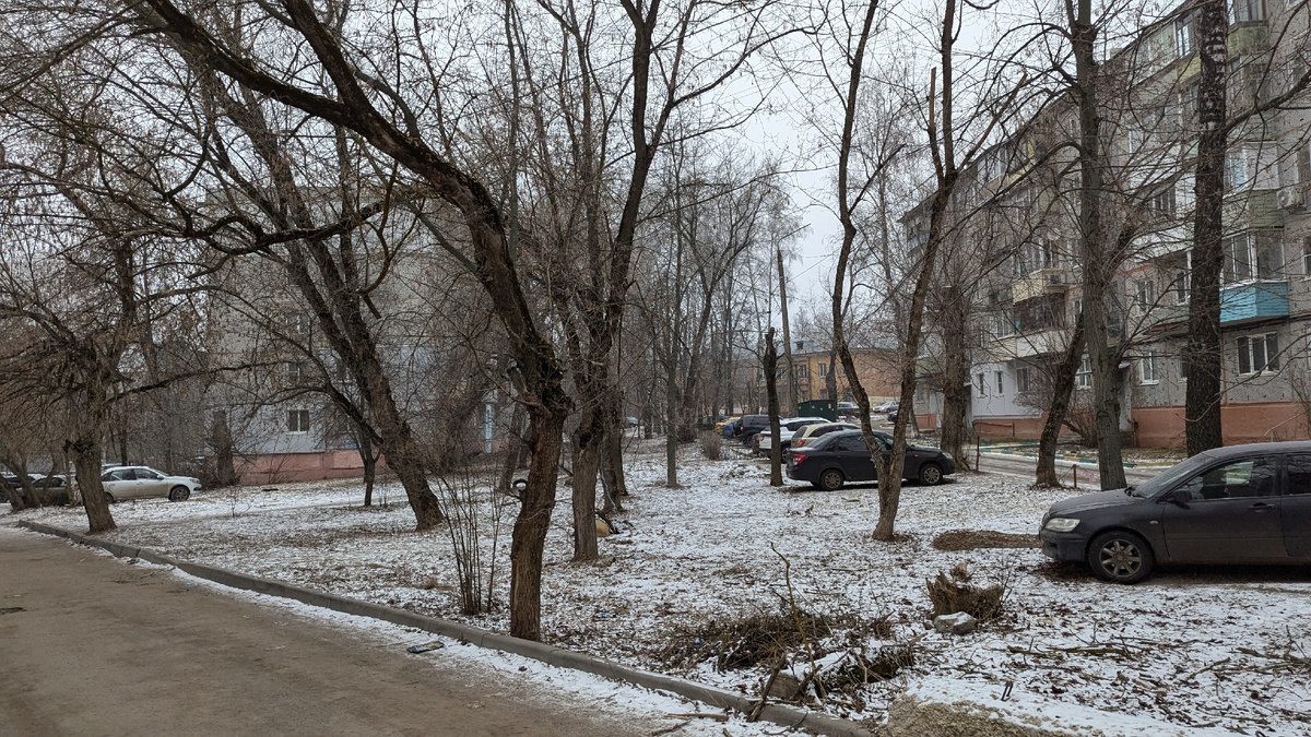 Прогулка утром