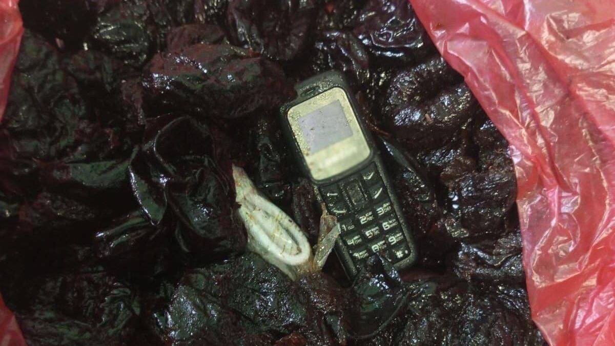    Фото: пресс-служба ГУФСИН России по Санкт-Петербургу и Ленинградской области