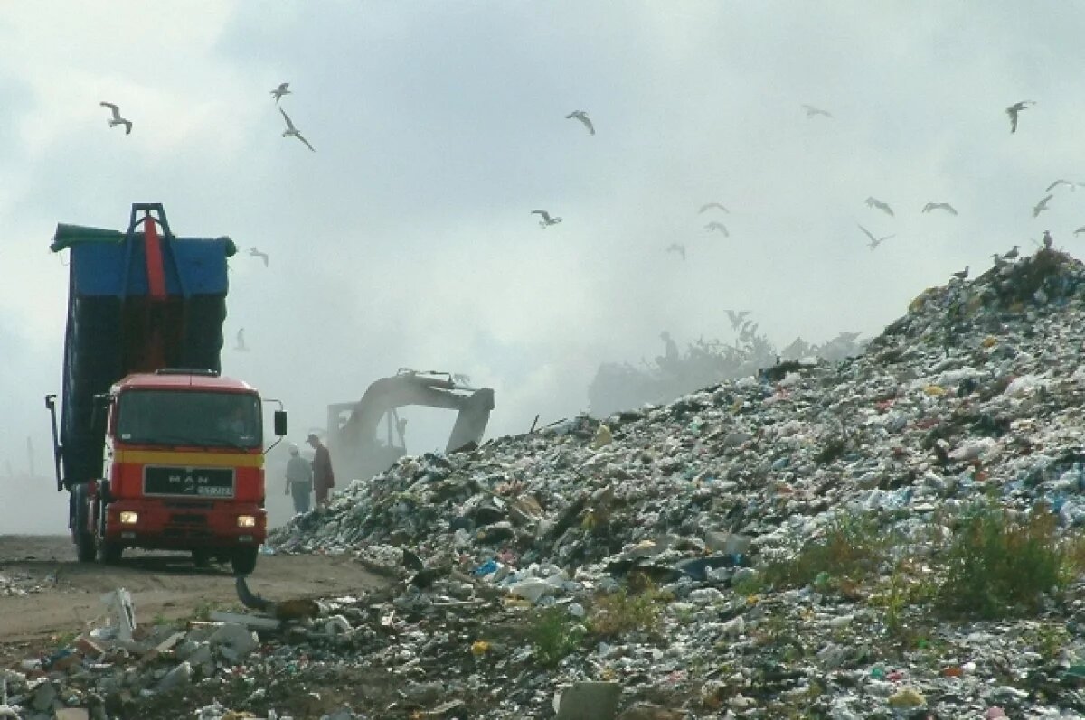    Нижегородцы обратились к Путину из-за полигона под Балахной