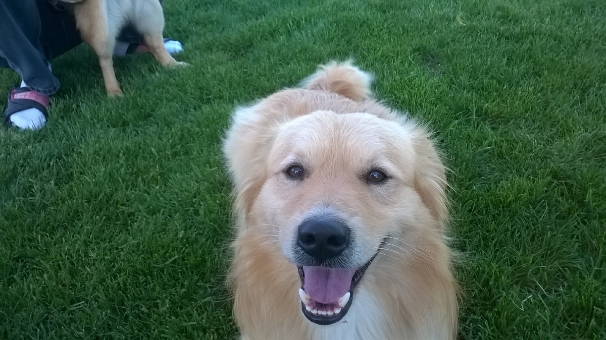 Один из наших любимчиков)