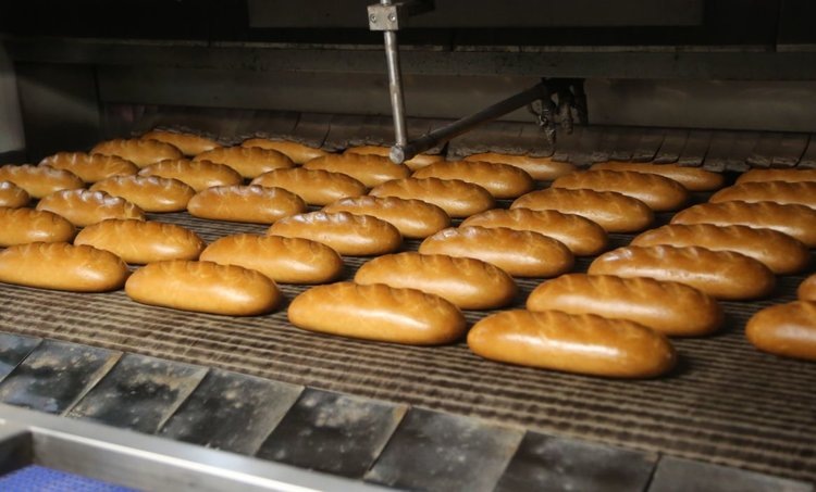    Московская область заняла первое место в России по производству хлеба в 2024 году