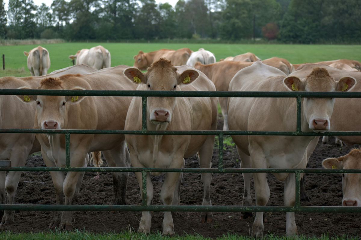 Картинка с бесплатного фотостока https://unsplash.com, автор Ries Bosch