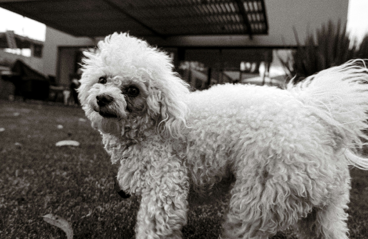 Картинка с бесплатного фотостока https://unsplash.com, автор Jaime Maldonado