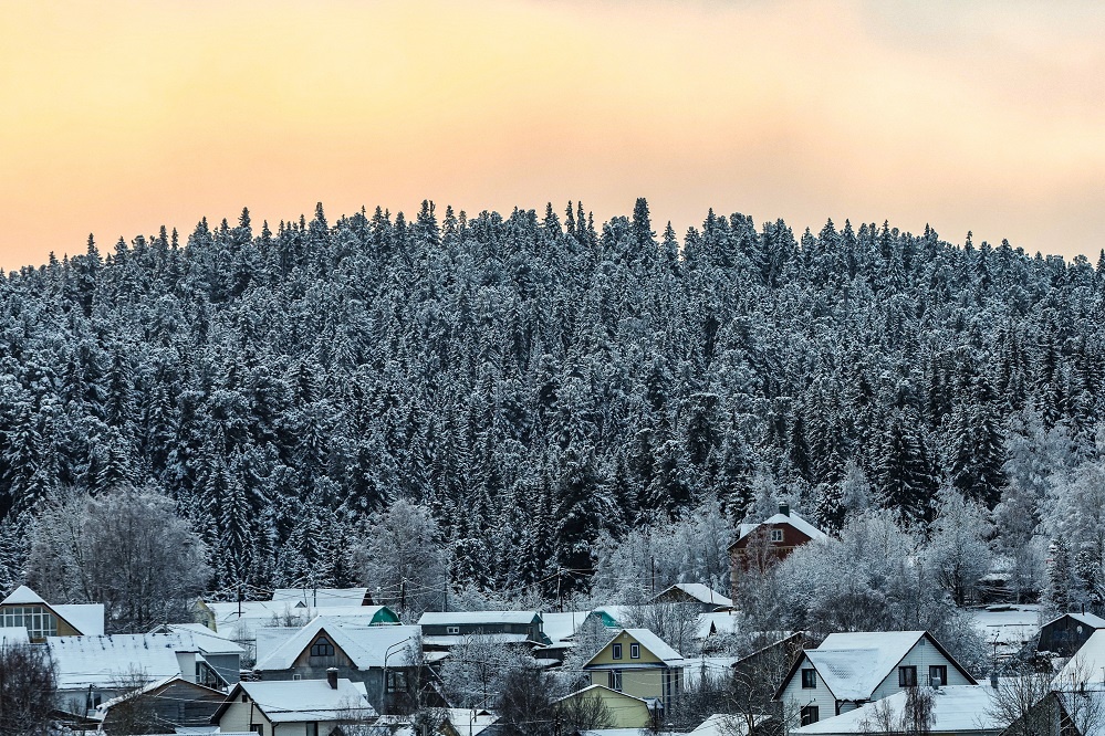 Фото: Сергей Бобылев/ТАСС