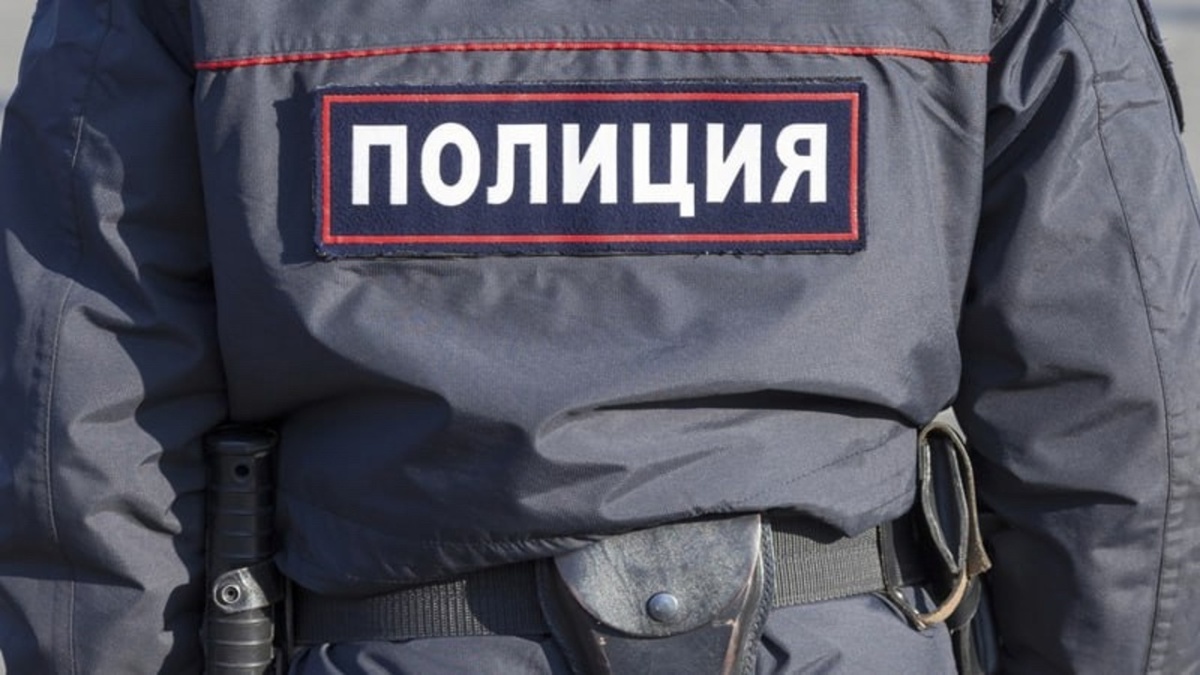    Курянин, ударивший полицейского, предстанет перед судом