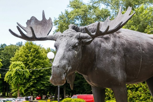   Фото из архива Калининград.Ru