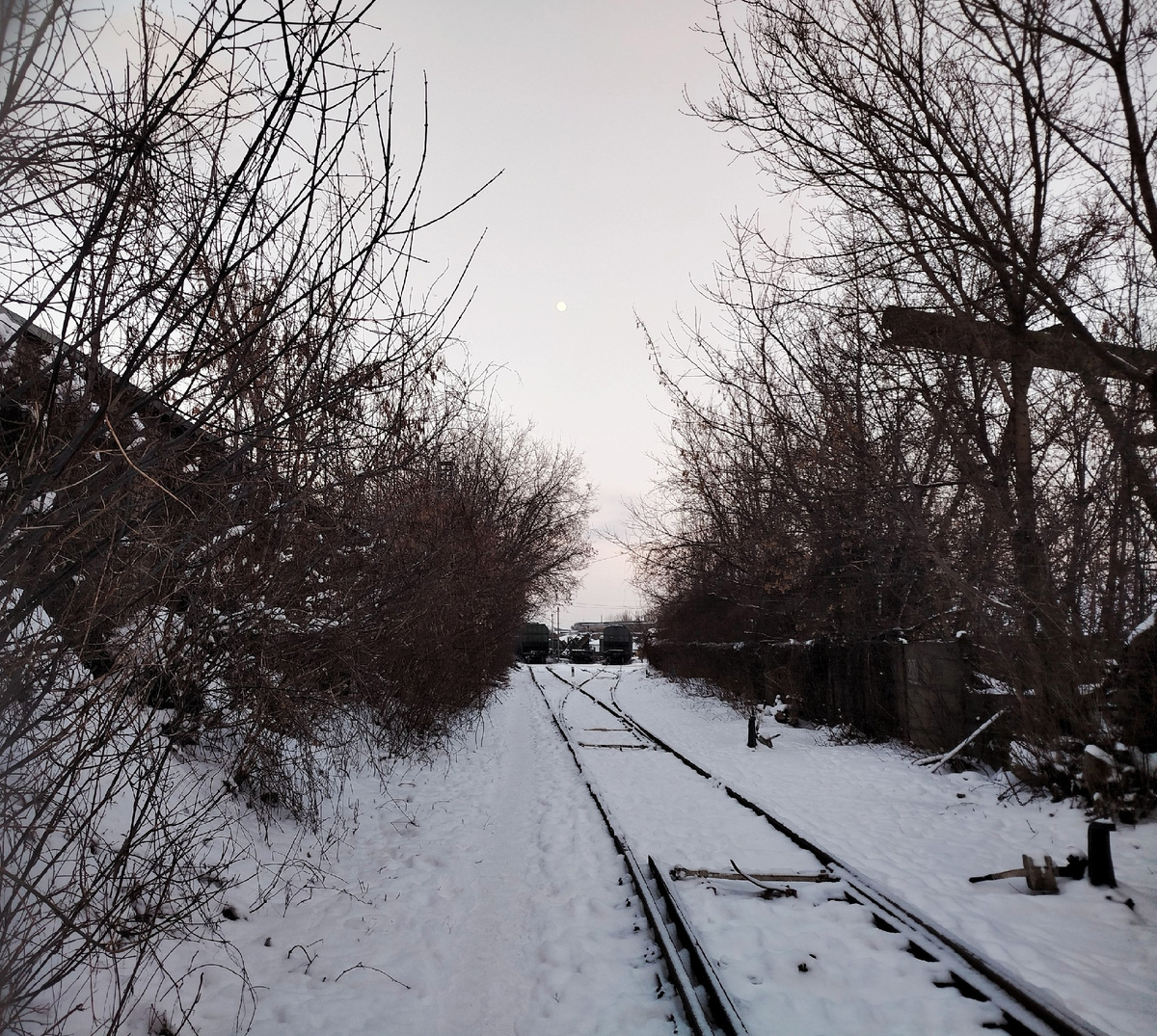 вот и луна уже, полнолуние однако