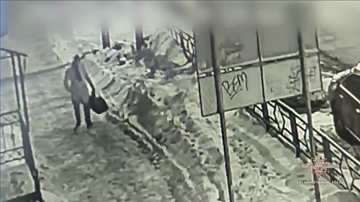    Скриншот видео t.me/IrinaVolk_MVD