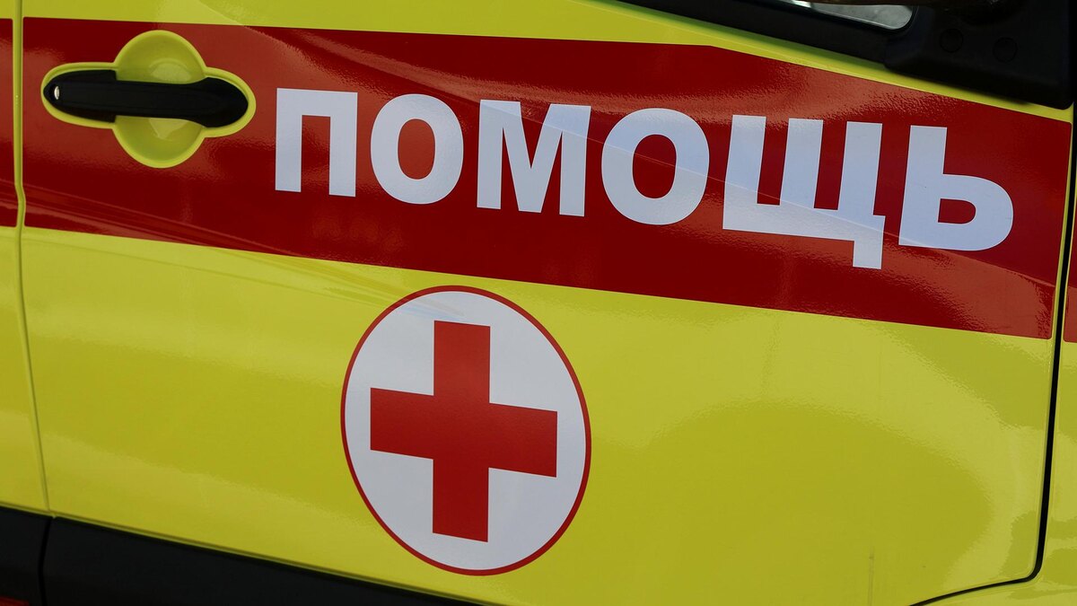    Фото: Maksim Konstantinov/globallookpress.com