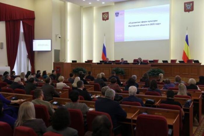 Источник фото: пресс-служба правительства РО