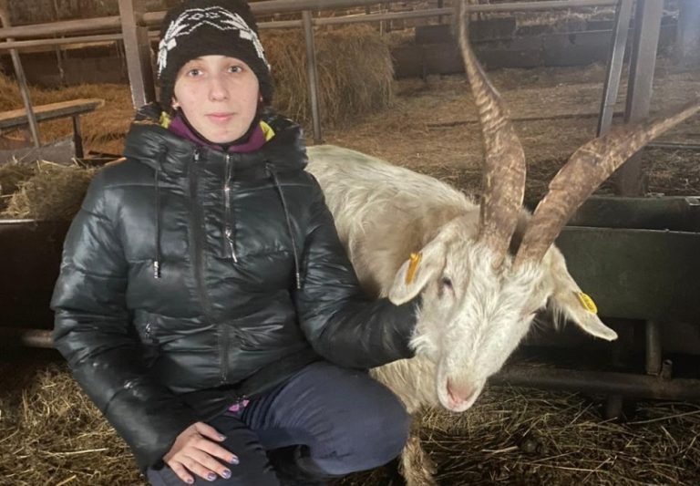    В Оренбуржье проводится эксперимент по увеличению удоев коров и коз Алла Черкесатова