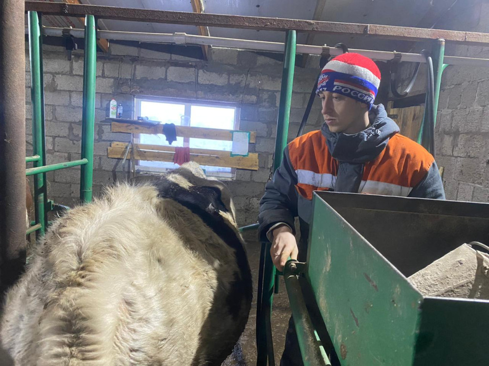    В Оренбуржье проводится эксперимент по увеличению удоев коров и коз Алла Черкесатова