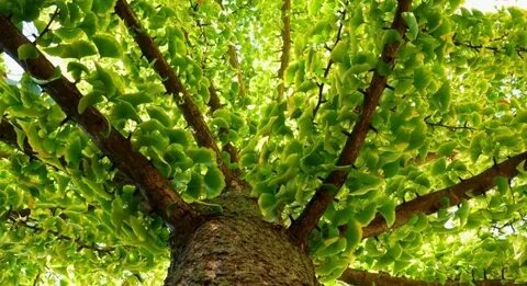 Фото взято из открытых источников в интернете