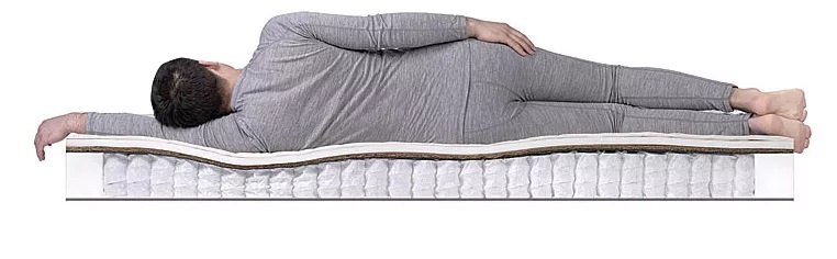 Фото из свободных источников