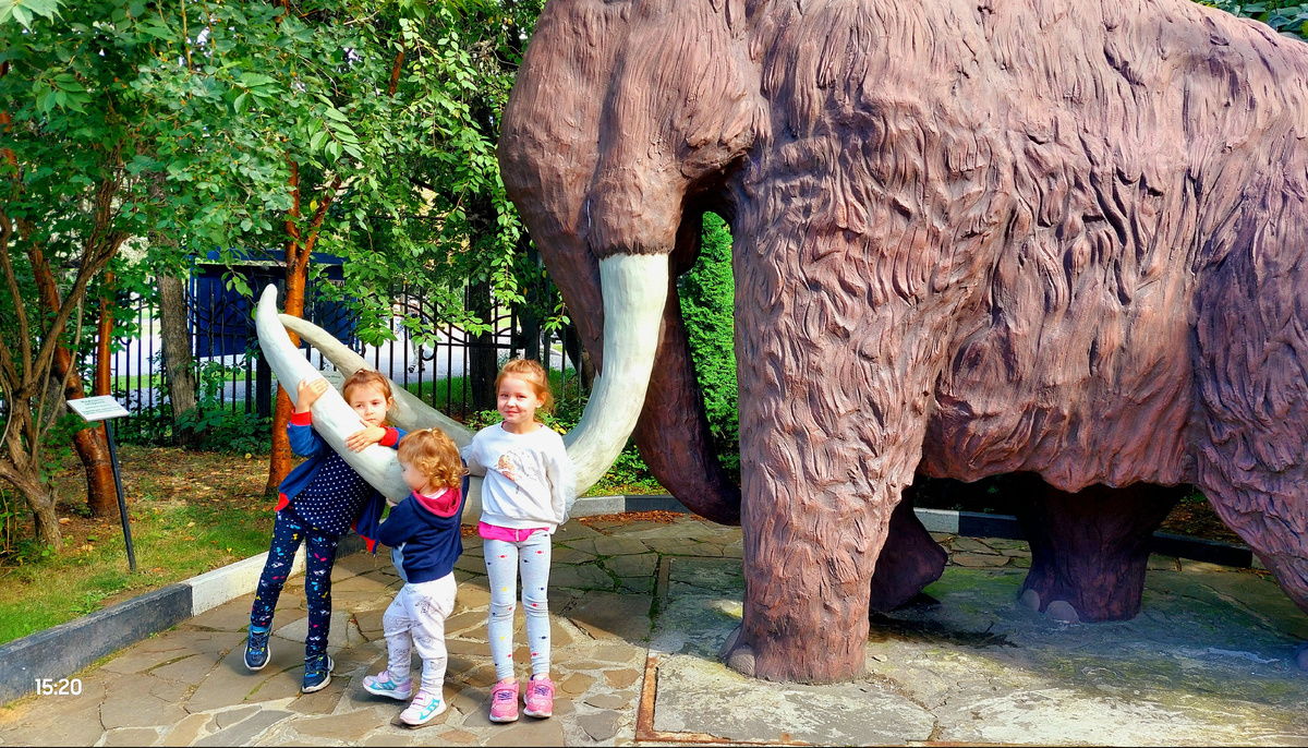 Московский Дарвиновский музей 