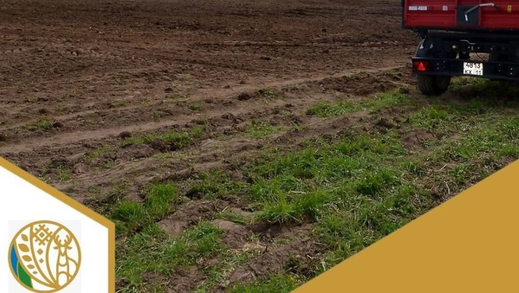    Коми расширяет посевные площади в кампании 2025