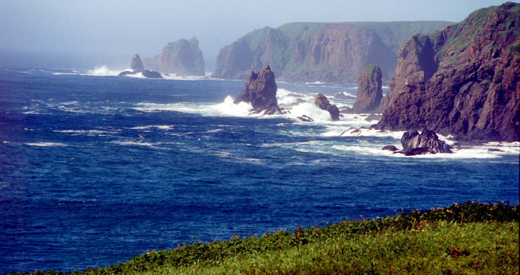 «Синдром проигравшего». В Госдуме поставили на место возжелавшего Южные Курилы премьера Японии