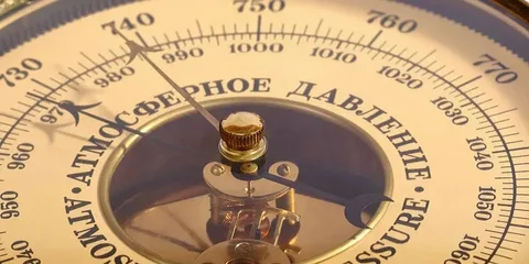 Из картинок Яндекса