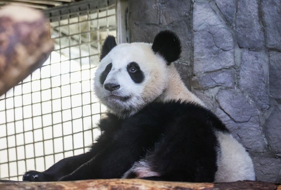    Алексей Белкин/NEWS.ru