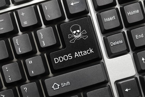    Shutterstock/FOTODOM