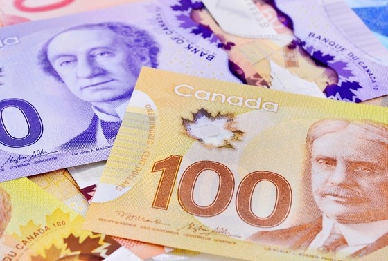    Shutterstock/FOTODOM