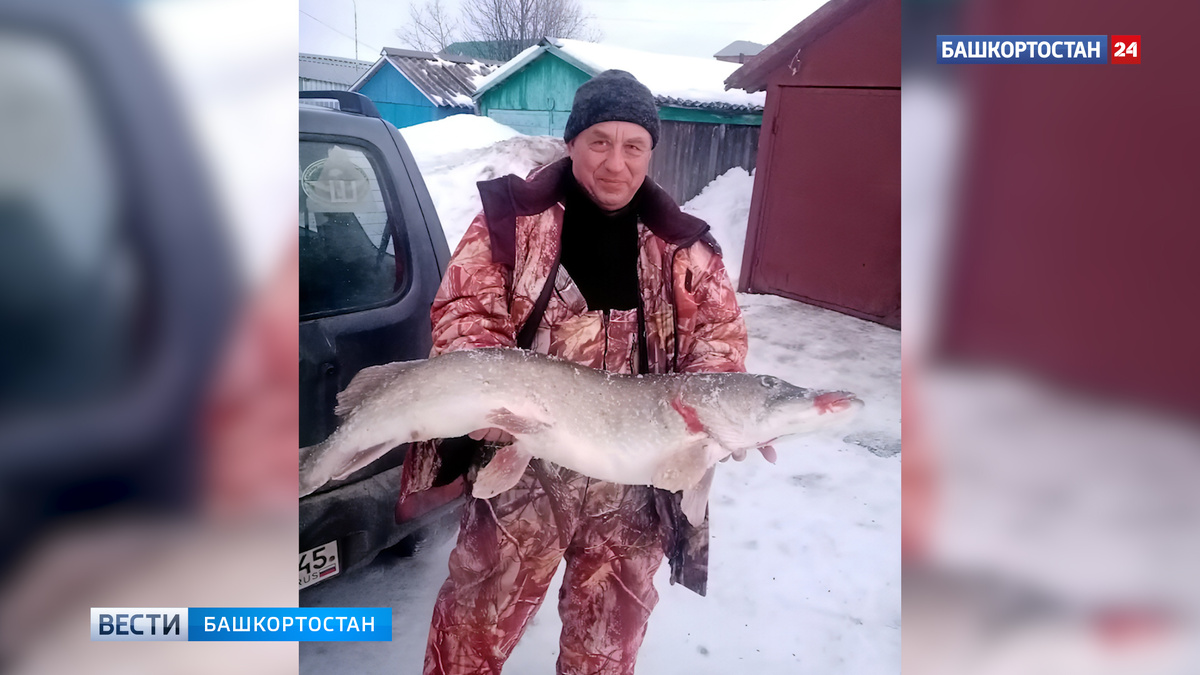    Щуку весом более 15 кг поймал житель Башкирии