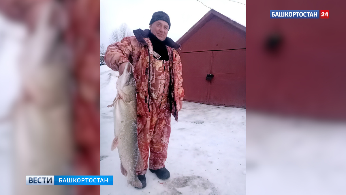    Щуку весом более 15 кг поймал житель Башкирии