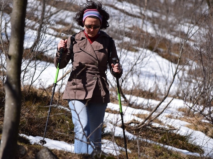     Фото: pxhere.com