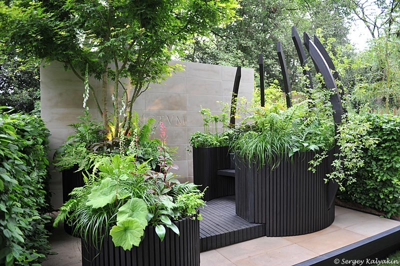 Контейнерный сад Sanctum. Цветочное шоу в Челси 2024