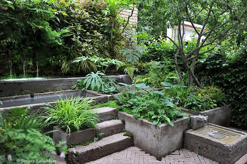 Контейнерный сад The Ecotherapy Garden. Цветочное шоу в Челси 2024