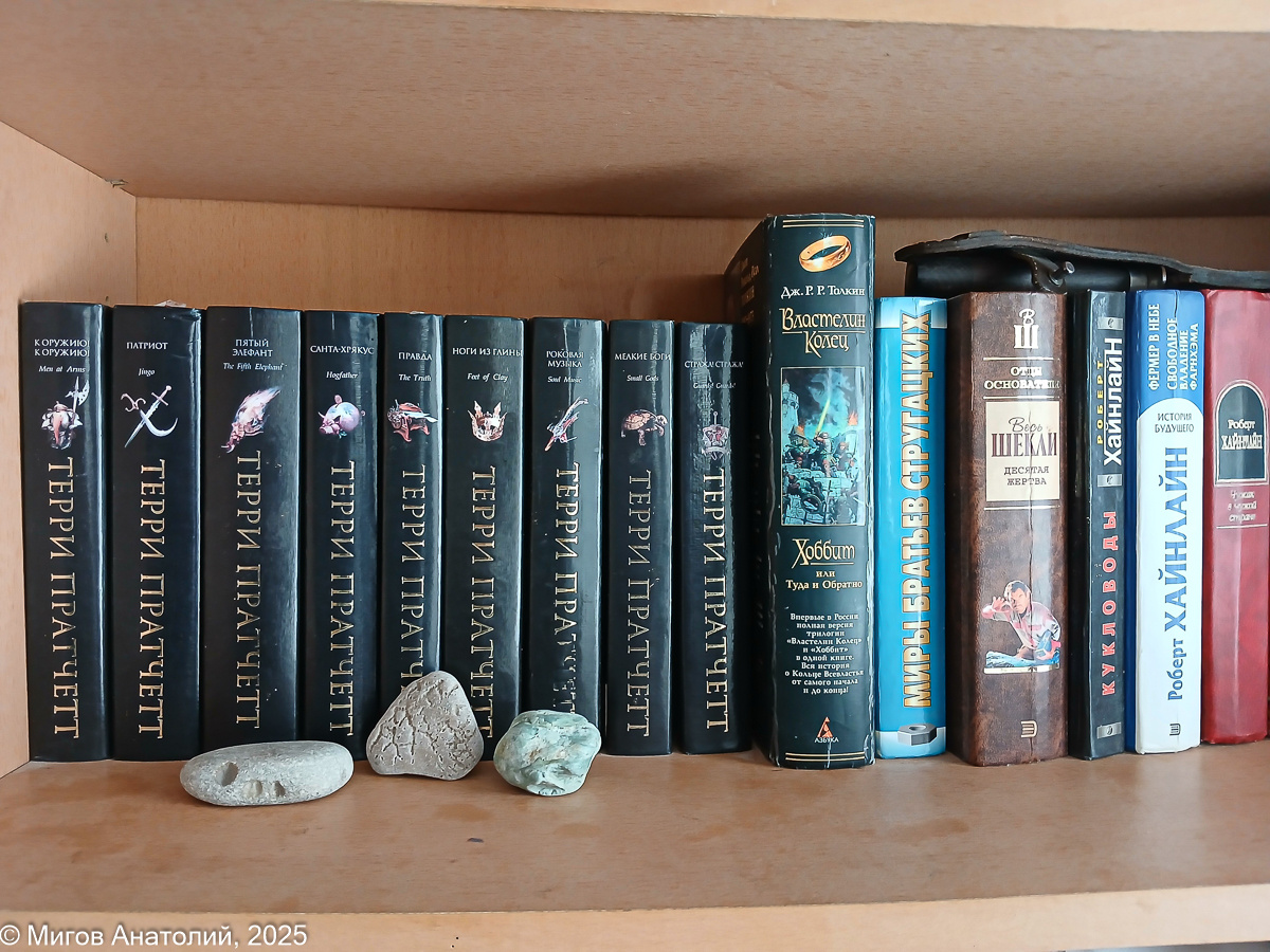 Одна из полок Толиного книжного стеллажа.