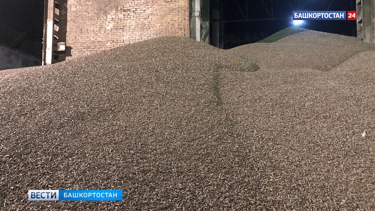    Башкирия экспортировала в Китай крупную партию ценного животного корма