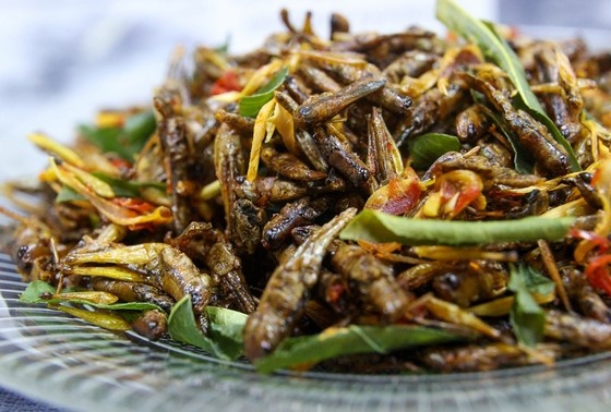    Сергей Булкин/NEWS.ru