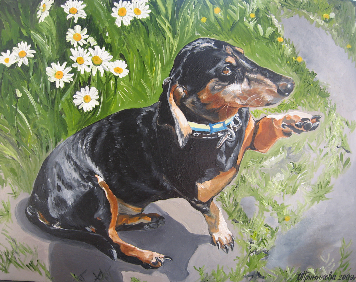 Соседский такс по имени Мормон: "Моня! Дай лапку!"