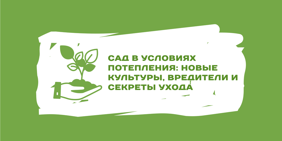 Сад в условиях потепления: новые культуры, вредители и секреты ухода